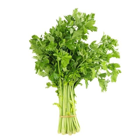 Cần tây VietGAP MT