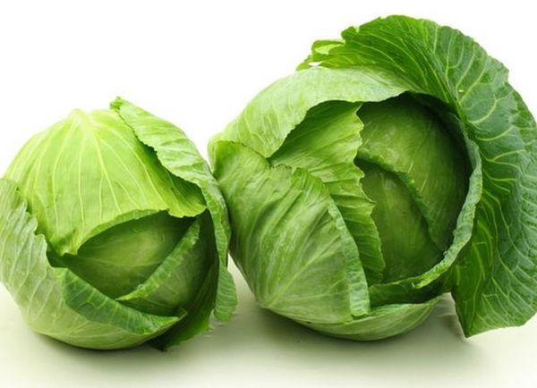 Bắp cải Sapa HKT 500gr
