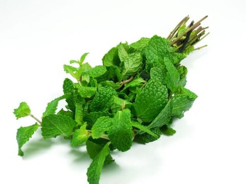 Rau bạc hà BH 200gr