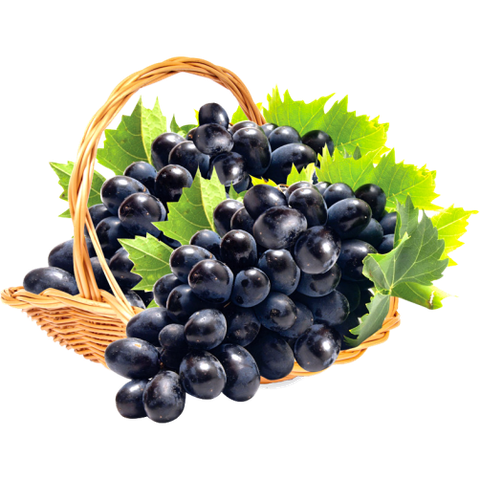 Nho đen không hạt Mỹ TA