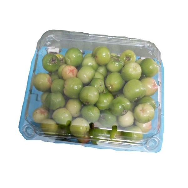 Quả sơ ri hộp 500gr SK