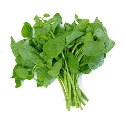 Rau mồng tơi VietGAP LT 500gr