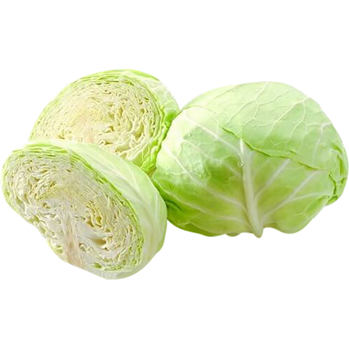 Bắp cải trắng VietGAP MT