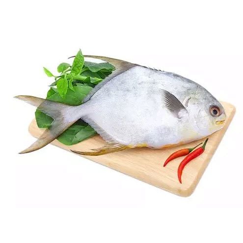 Cá Chim Trắng Tươi 1kg