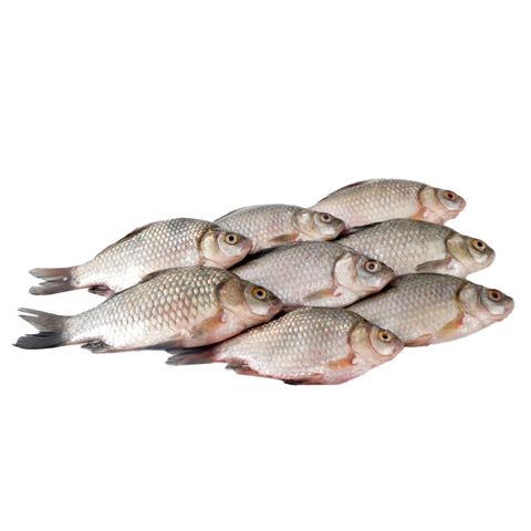 Cá diếc làm sạch NN 500Gr