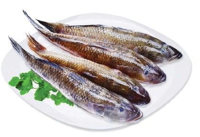 Cá Bống Sông Đà (Size To) 1kg