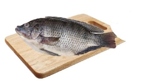 Cá rô Phi sông Đà làm sạch size 0.8-1.3kg/con 1kg