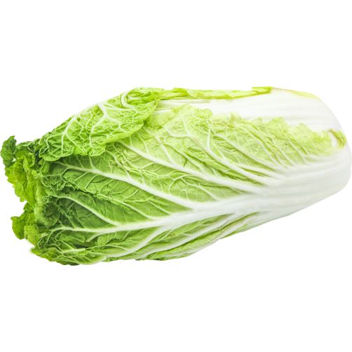 Cải thảo Sapa HKT 500gr