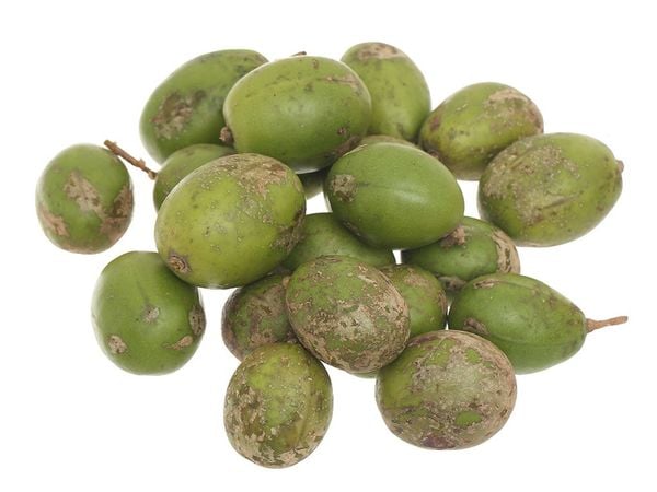 Quả cóc non SK 1kg