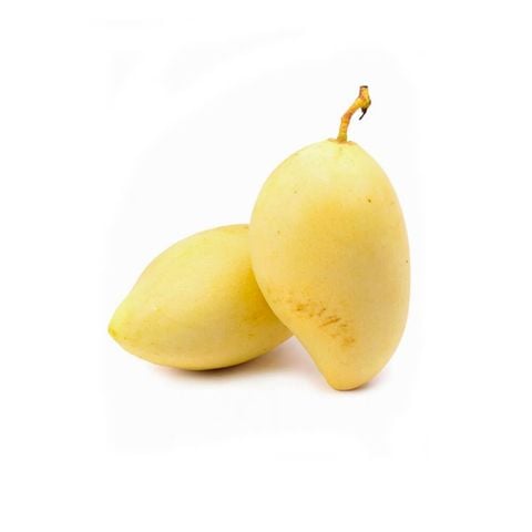 Xoài cát chu SK 1kg