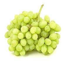 Nho xanh không hạt Mỹ TA