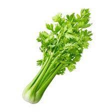 Cần tây Vườn rau Đà Lạt