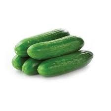 Dưa leo baby Vườn rau Đà Lạt