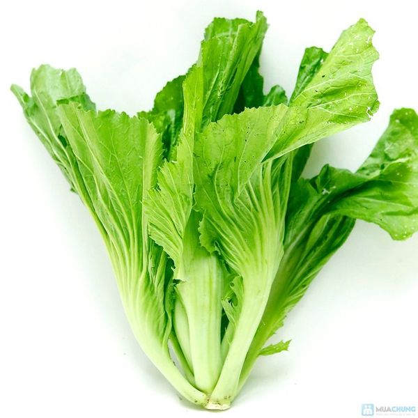 Cải Bẹ (Đông Dư) BH 500gr