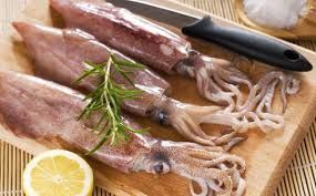 Mực ống tươi 6-10 con/kg NN