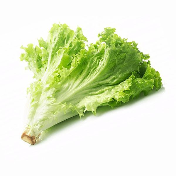 Xà lách lolo xanh MT 1kg