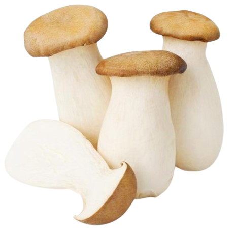 Nấm Đùi Gà TC Khay 200g