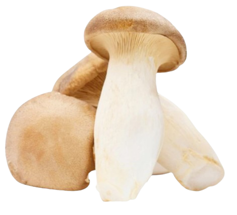 Nấm Đùi Gà TC Khay 200g