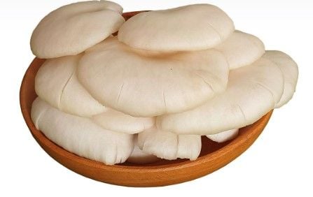 Nấm Sò Trắng TC Khay 200g