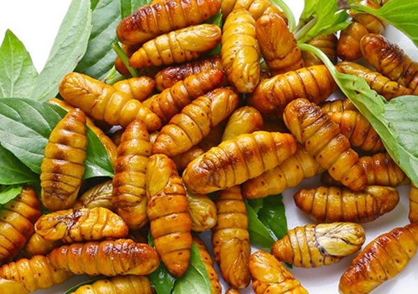 Nhộng tằm NN 200Gr