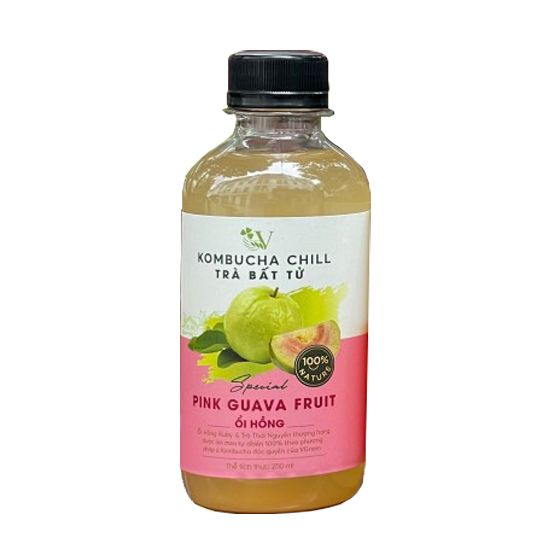 Vchill kombucha Trà bất tử vị ổi Ruby 250ml