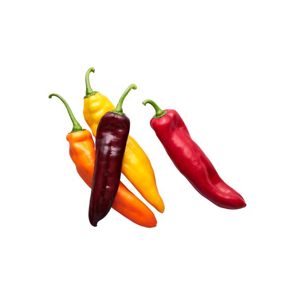 Ớt Palermo Vườn rau Đà Lạt