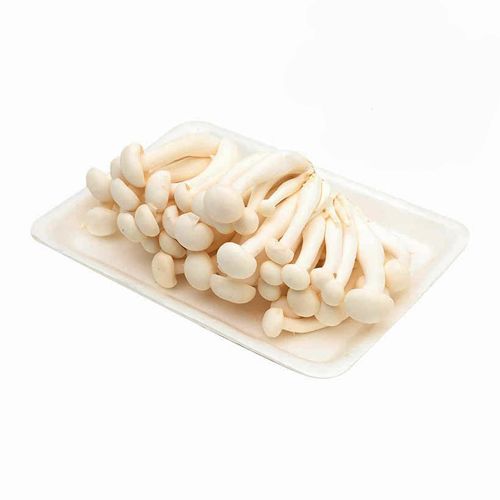Nấm ngọc châm trắng 200gr TC