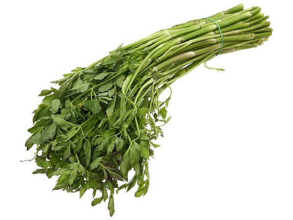 Cần ta (Cần nước) BH 500gr