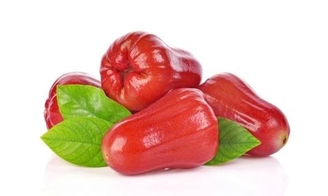 Roi Đỏ An Phước Víp