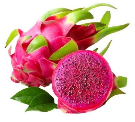 Thanh Long Ruột Đỏ TT (size 400g) 1kg (SBF-T10)