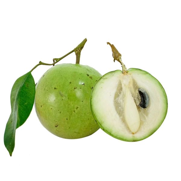 Vú sữa HTS 1kg