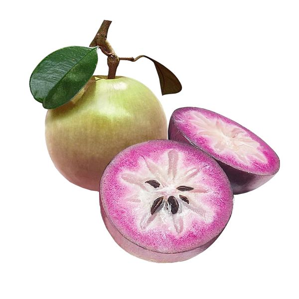 Vú sữa tím RQV 1kg