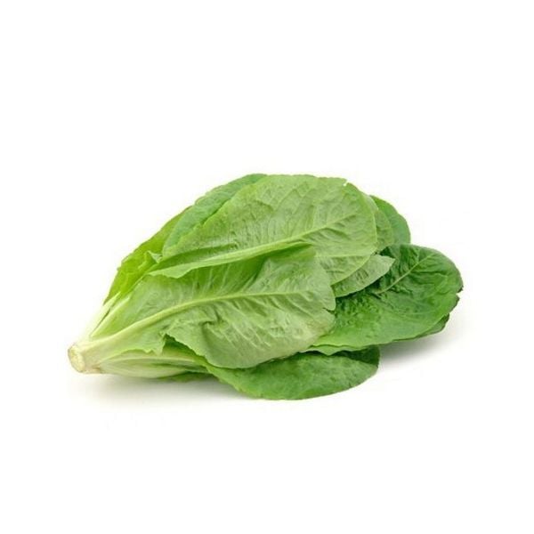 Xà lách romaine BH 1kg
