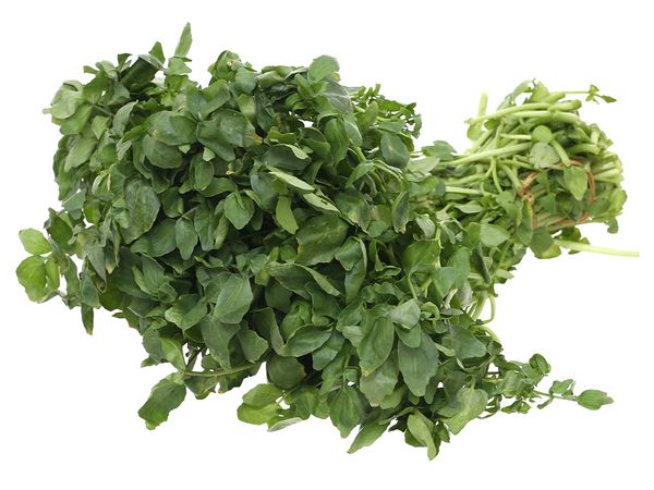 Cải xoong BH 500gr