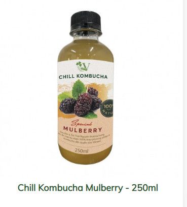 Vchill kombucha Trà bất tử vị dâu tằm 250ml