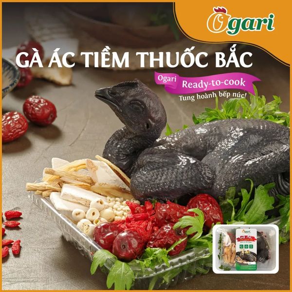 Gà ác tiềm ẩn thuốc bắc Ogari 260/khay