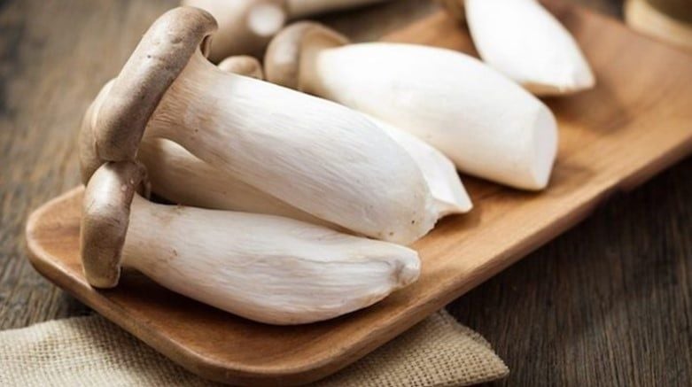 Nấm Đùi Gà Baby TC Khay 200g