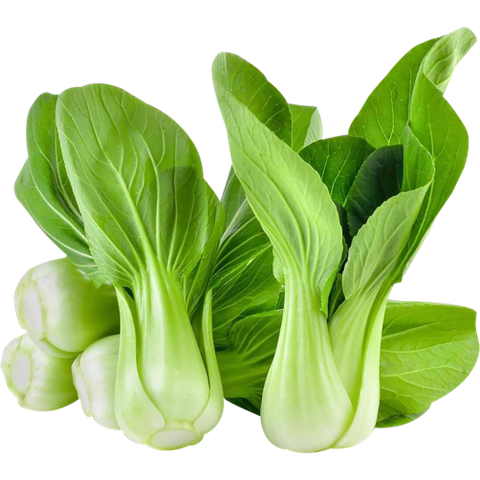 Cải chíp VietGAP MT