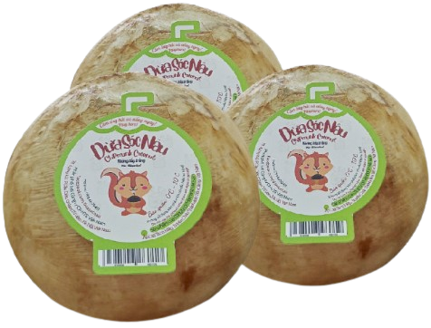 Dừa Sóc Nâu HTS - Quả