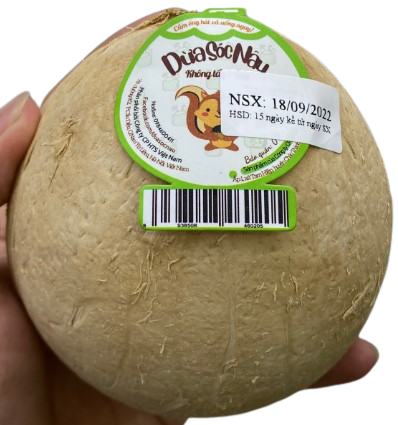 Dừa Sóc Nâu HTS - Quả