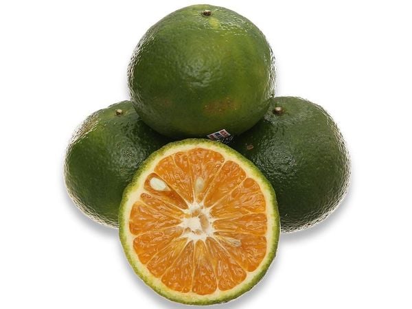 Cam sành Hàm Yên RQV 1kg