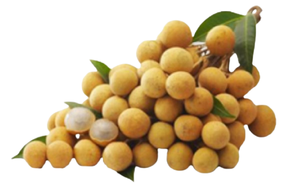 Nhãn Hưng Yên HTS 1kg