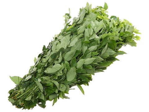 Rau ngót MT 500g