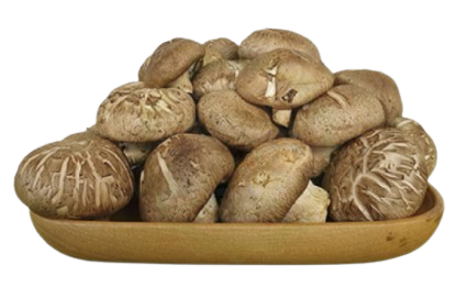 Nấm Hương Tươi TC Gói 200g (OP-NVC)