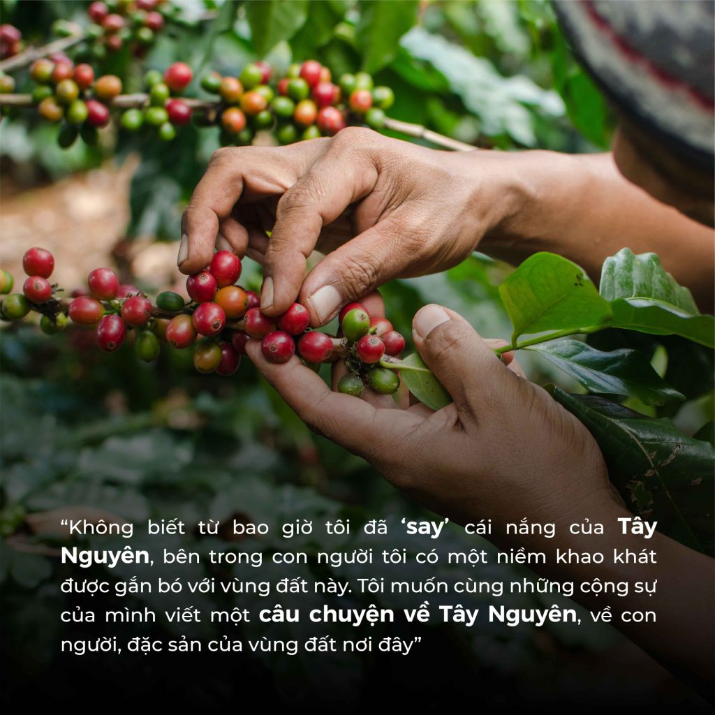 Bộ Mix Cà Phê Bột Toro Moka Yemen & Toro Passion Nguyên Chất 100% - 250gr & 500gr/Gói