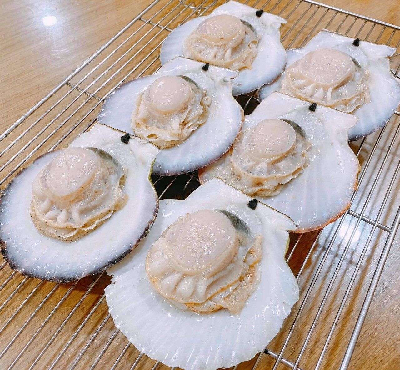 Frozen FullShell Scallops Sanriku Size L ( 4/6 A Kg) Sò điệp nguyên