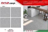  60*60 CRM610 Gạch lát nền men matt (T=4V=1.44M) 