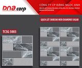  50*50 TCSG 5003 Gạch lát nền sân vườn men Sugar (T=6V=1.5M) 