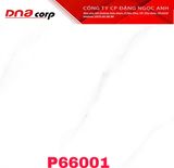  60*60 P66001 Gách lát nền đá bk (1.44m/4v/th) 