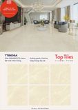  60*60 TTB606A Gạch đá bóng kiếng 6 face 